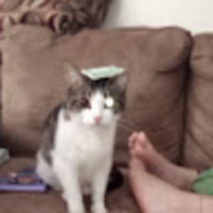 Meet your Posher, Mckenzie